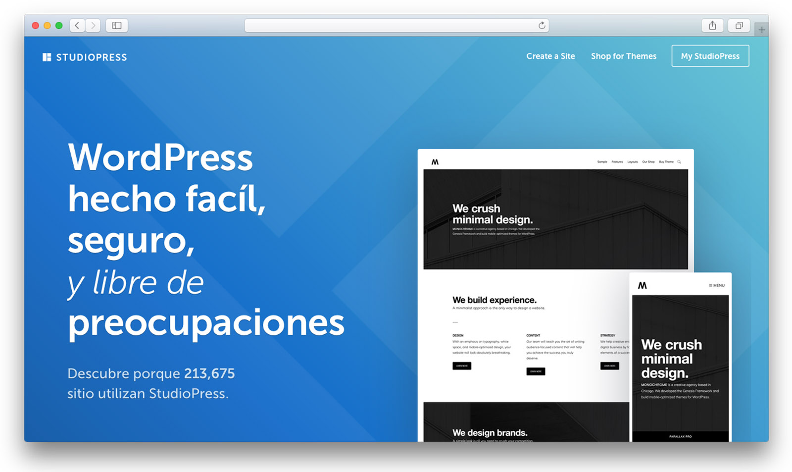 Servicio de diseño de páginas web en Puebla, Somos una pequeña agencia de Diseño en Puebla, ofrecemos servicio de posicionamiento web y Marketing digital.
